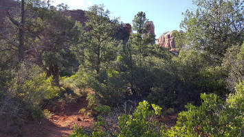 View of Cathedral Rock from Templeton Trail.  Picture 20