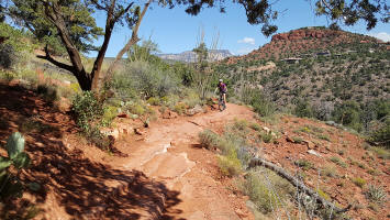 Templeton Tail - Picture 414