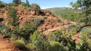 Descending Switchback on Templeton Trail - Close View