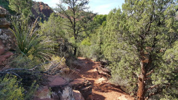 Going Down the Swtichback - Picture 5