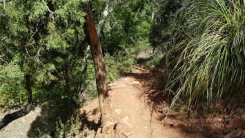 Going Down the Swtichback - Picture 7