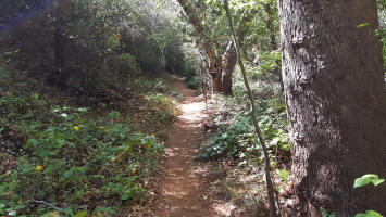 Floor of Oak Creek Valley - Picture 3