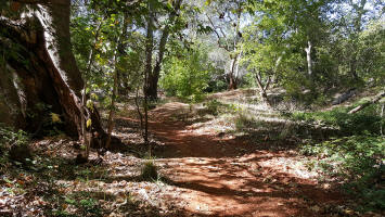 Along the Floor of Oak Creek Valley - Picture 4