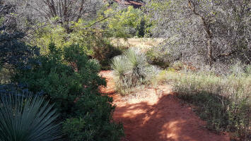 Templeton Trail Leading to Baldwin Trail - Picture 6