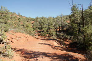 Cibola Pass Trail