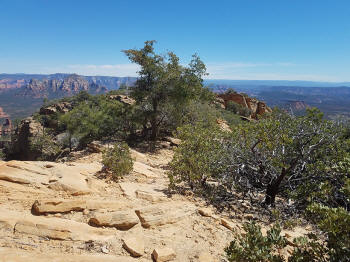 Bear Mountain - Looking to the East at the 3rd trail peak.