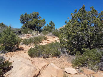 Bear Mountain Hiking Trails Picture 120