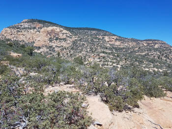 Bear Mountain Hiking Trails Picture 190
