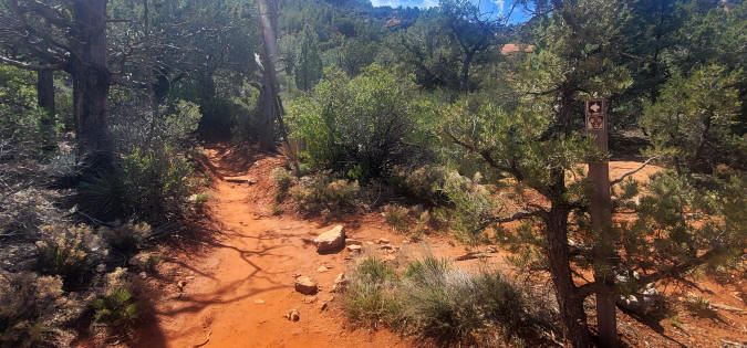 Hog Heaven Trail