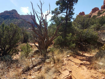 Broken Arrow Trail - Picture 10