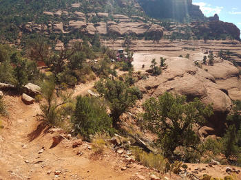 Chicken Point - Picture 2