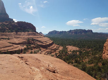 Chicken Point - Picture 6