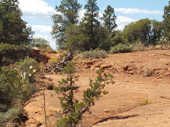 Chapel Trail Picture 15