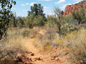 Chapel Trail Picture 18