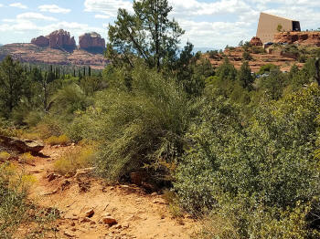 Chapel Trail Picture 26