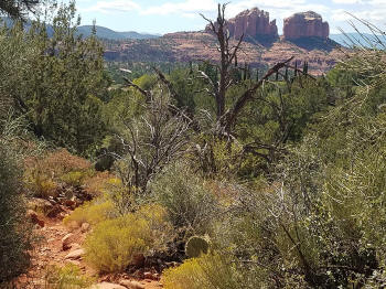 Chapel Trail Picture 28