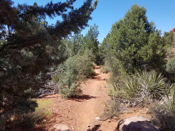 Chapel Trail Picture 2