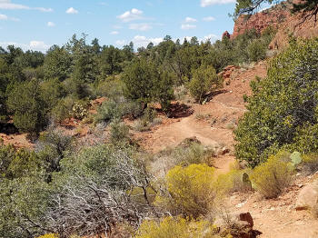 Chapel Trail Picture 7