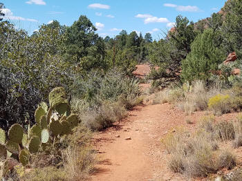 Chaple Trail Picture 8