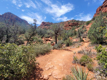 Twin Butte Trail 15