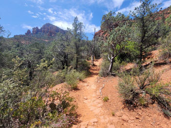 Twin Butte Trail 19