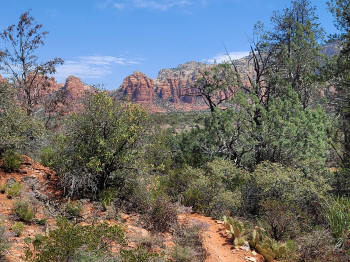 Twin Butte Trail 23