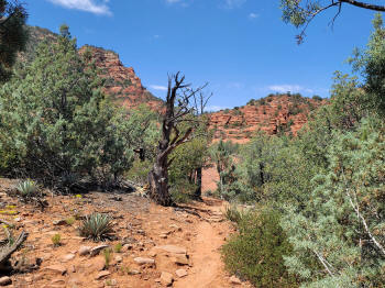 Twin Butte Trail 29