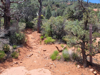Hog Heaven Trail 39
