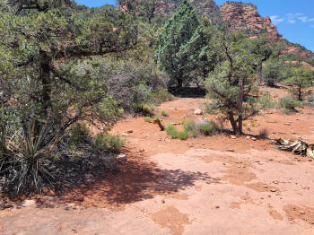 Hog Heaven Trail 40