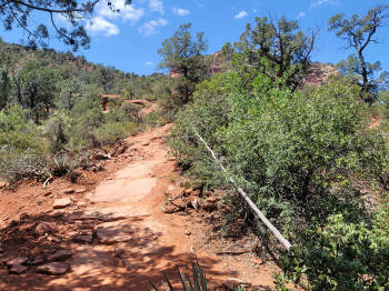 Hog Heaven Trail 41