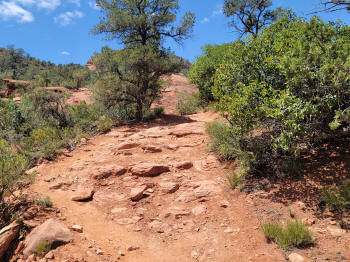 Hog Heaven Trail 42