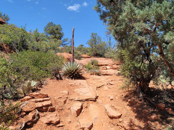 Hog Heaven Trail 43