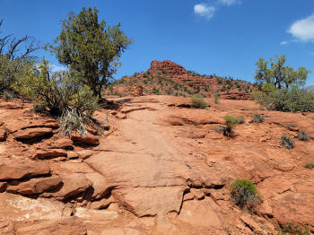 Hog Heaven Trail 44