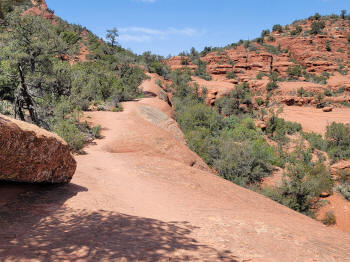 Hog Heaven Trail 49