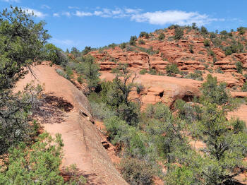 Hog Heaven Trail 50