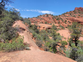 Hog Heaven Trail 51