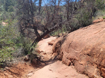 Hog Heaven Trail 60