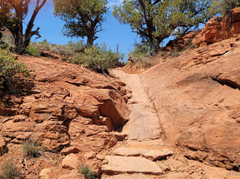 Hog Heaven Trail 62