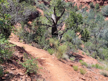 Decending Hog Heaven Trail 70
