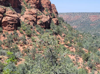 Decending Hog Heaven Trail 71