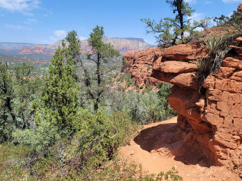 Decending Hog Heaven Trail