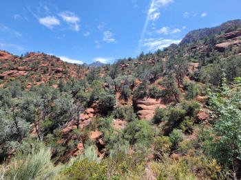 Decending Hog Heaven Trail 80