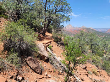 Decending Hog Heaven Trail 85