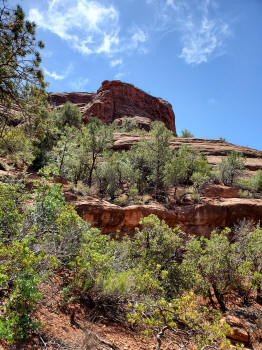 Decending Hog Heaven Trail 94