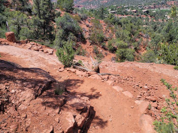 Decending Hog Heaven Trail 97
