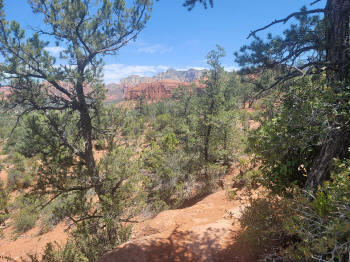 Hog Wash Trail 2