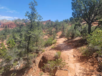 Hog Wash Trail 3