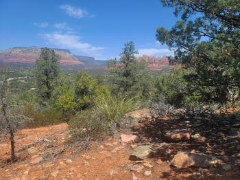 Hog Wash Trail 5