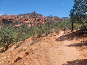 Hog Wash Trail 6