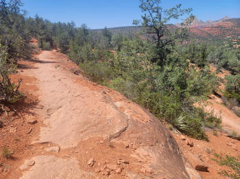 Hog Wash Trail 8